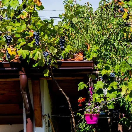 къща лиляна