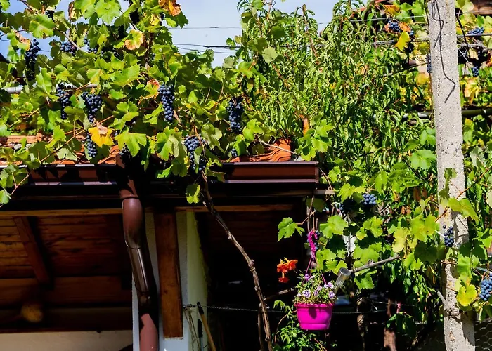 къща лиляна